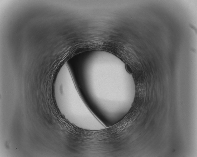 X0000097301057200802151117