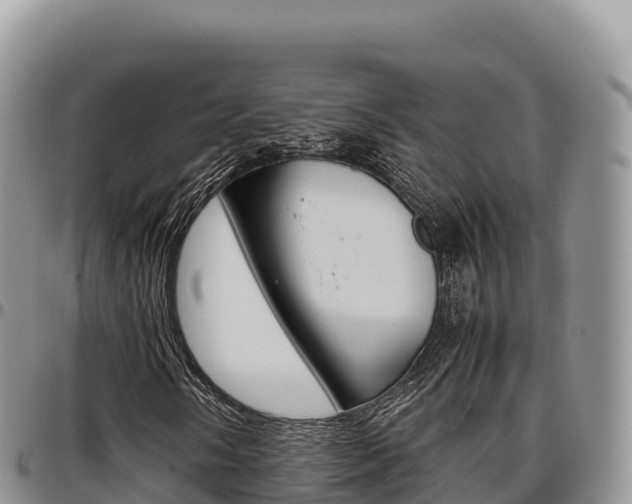 X0000097301058200802151117
