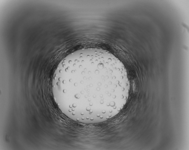 X0000097301059200802151117
