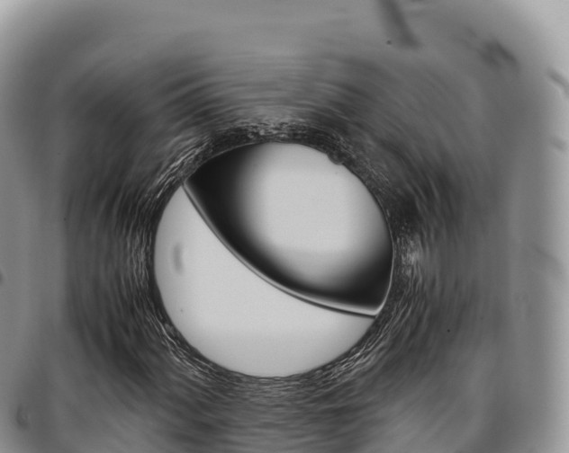 X0000097301060200802151117