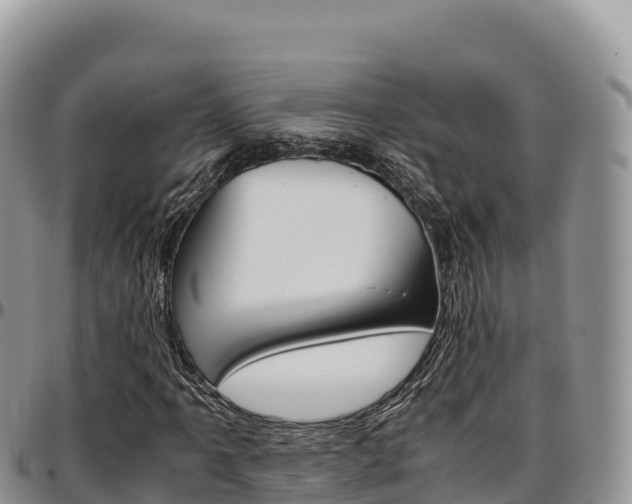 X0000097301061200802151117