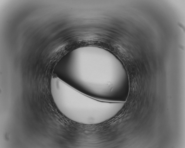 X0000097301062200802151117