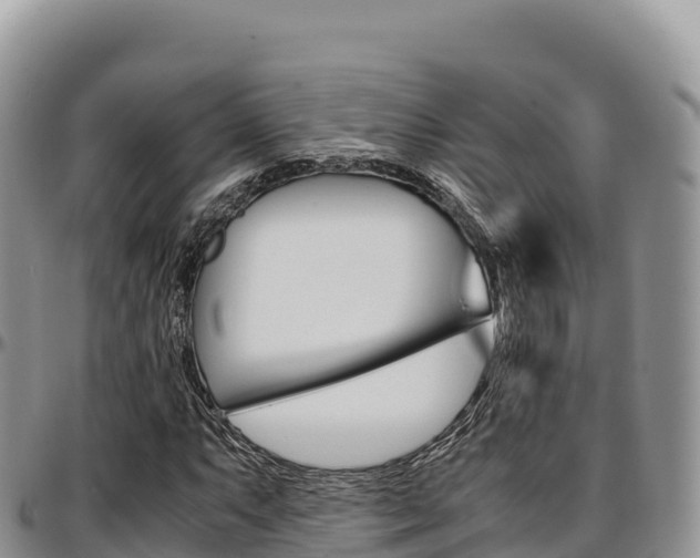 X0000097301063200802151117