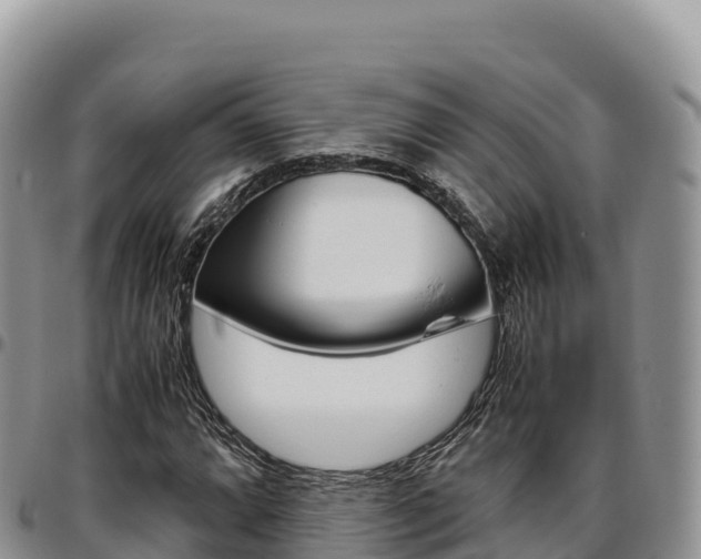 X0000097301064200802151117