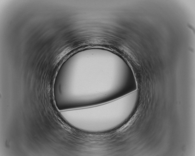 X0000097301065200802151117