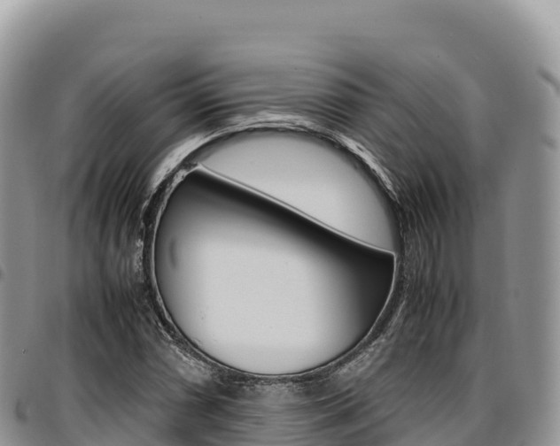 X0000097301066200802151117