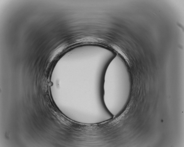 X0000097301067200802151117
