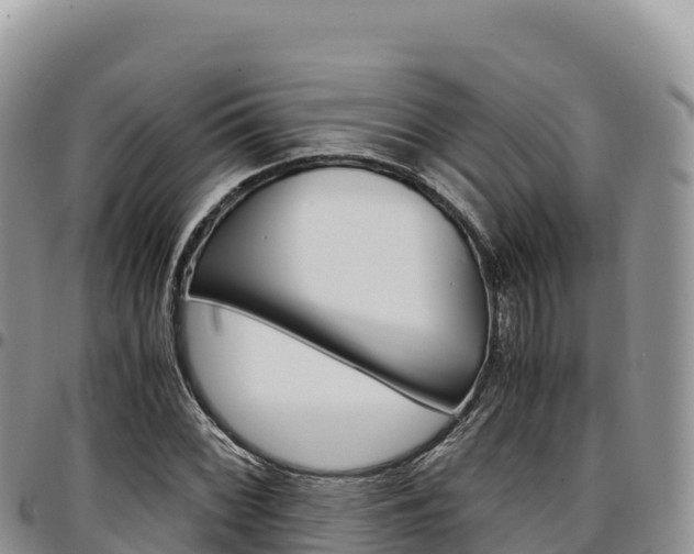 X0000097301068200802151117