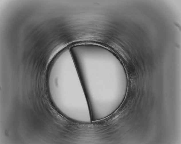 X0000097301069200802151117