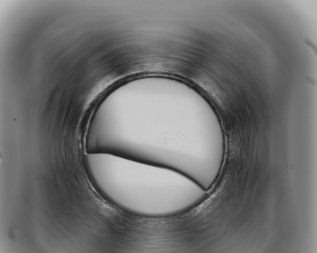 X0000097301070200802151117