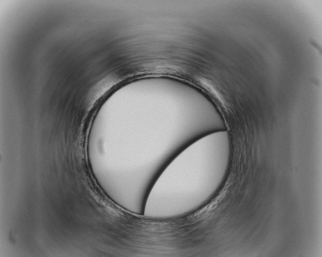 X0000097301071200802151117