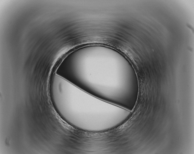 X0000097301072200802151117