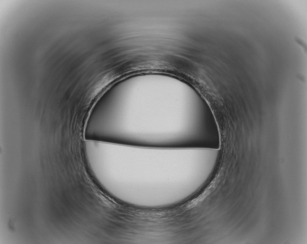 X0000097301073200802151117
