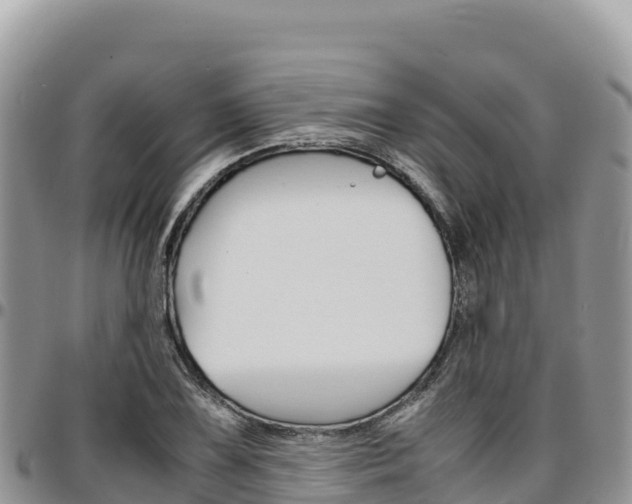 X0000097301075200802151117