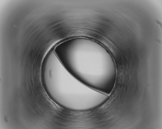 X0000097301076200802151117