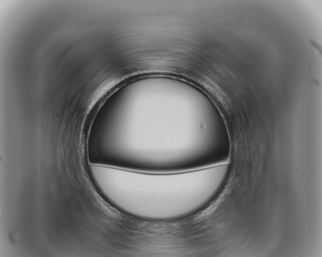 X0000097301077200802151117