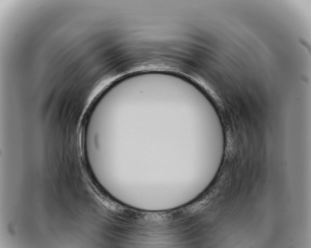 X0000097301078200802151117