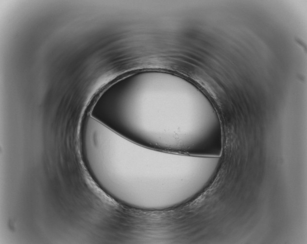 X0000097301080200802151117