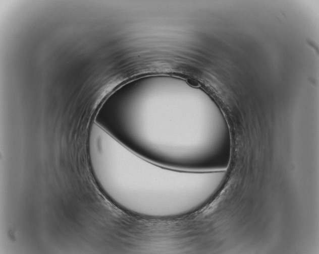 X0000097301081200802151117