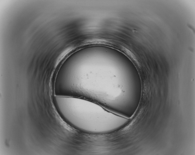 X0000097301082200802151117