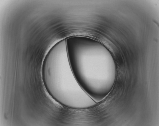 X0000097301084200802151117