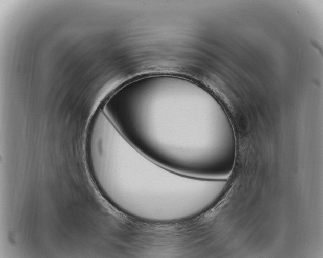 X0000097301085200802151117