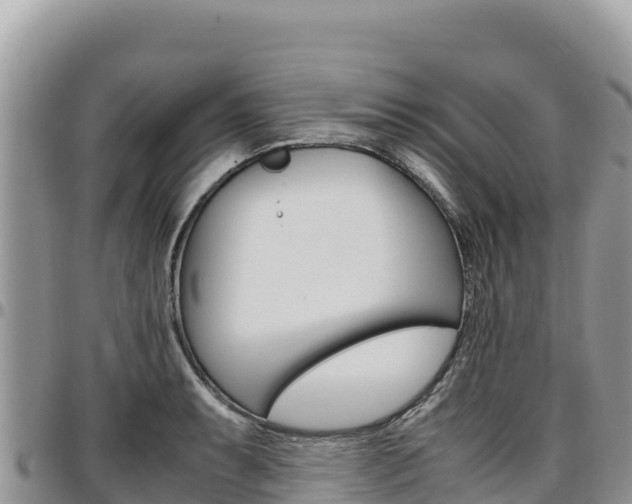 X0000097301087200802151117