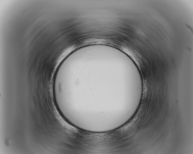 X0000097301090200802151117