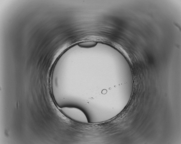 X0000097301091200802151117