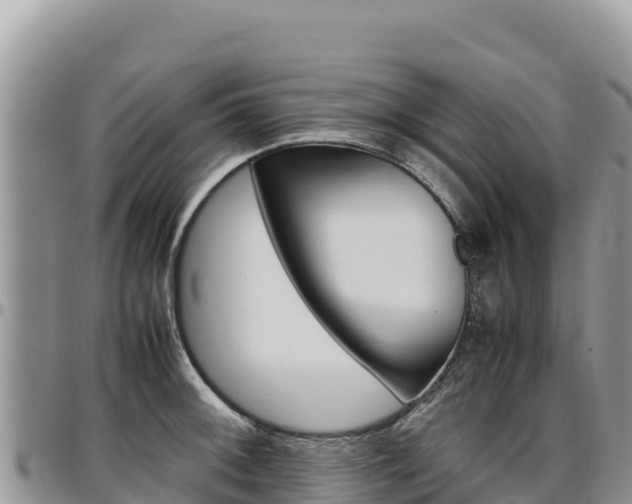 X0000097301092200802151116