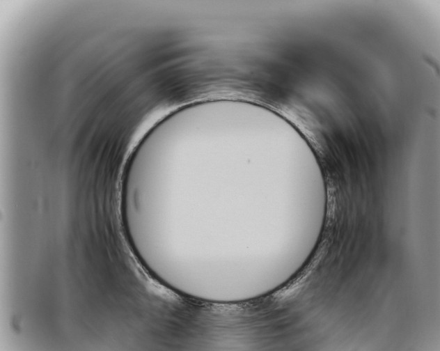 X0000097301094200802151116