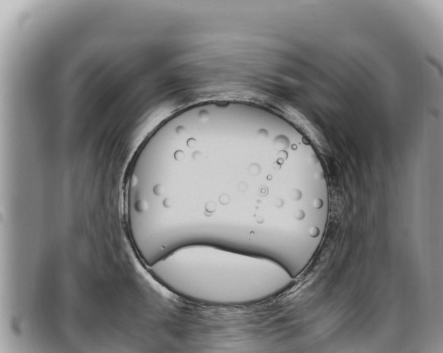 X0000097301095200802151116