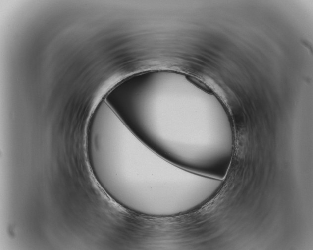 X0000097301096200802151116