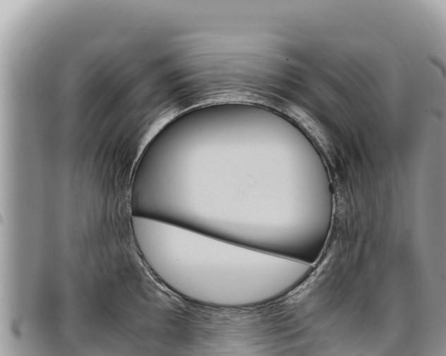 X0000097301097200802151116