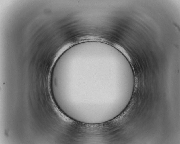 X0000097301098200802151116