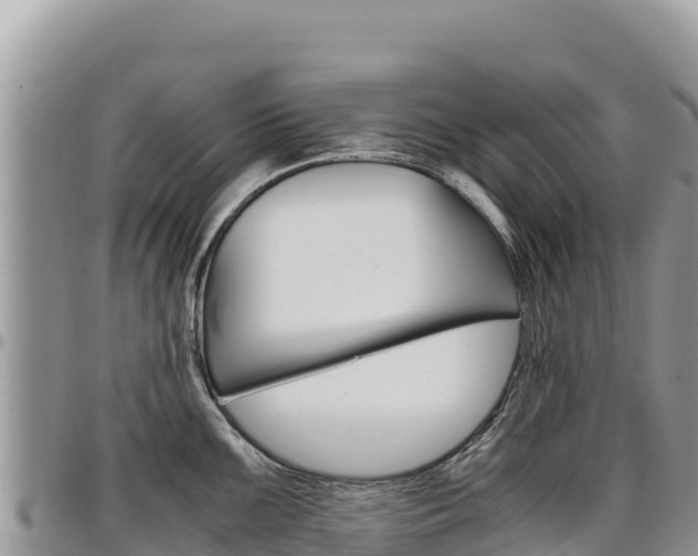 X0000097301099200802151116