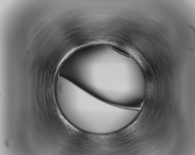 X0000097301100200802151116