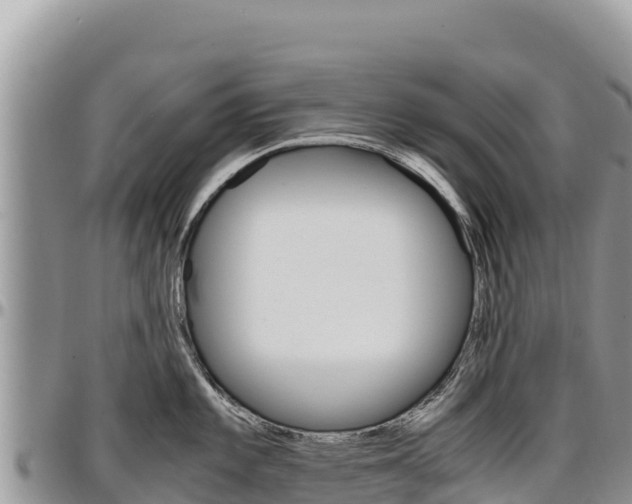 X0000097301101200802151116