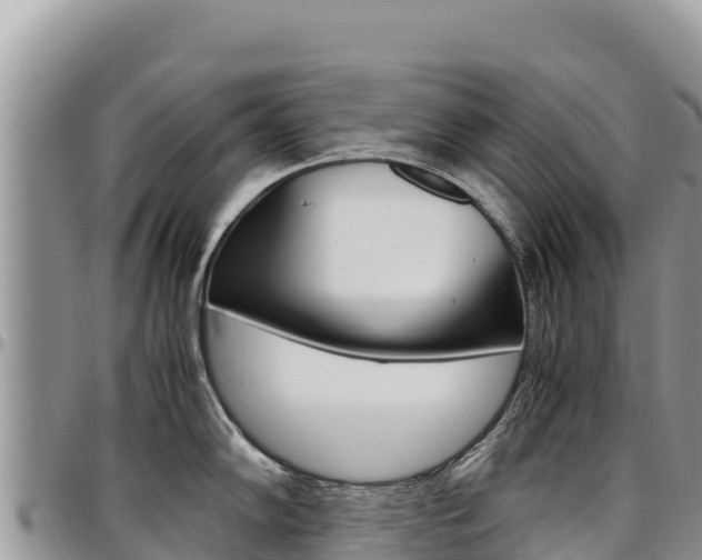 X0000097301102200802151116