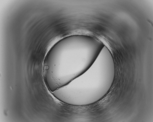 X0000097301103200802151116