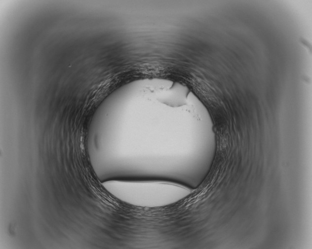 X0000097301106200802151115