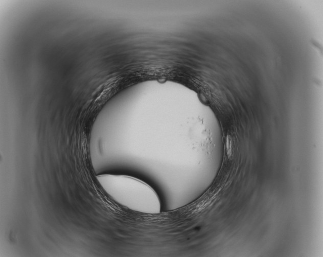 X0000097301107200802151115