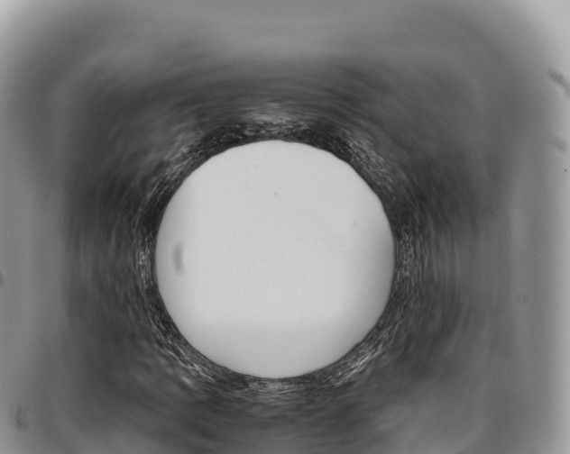 X0000097301109200802151115
