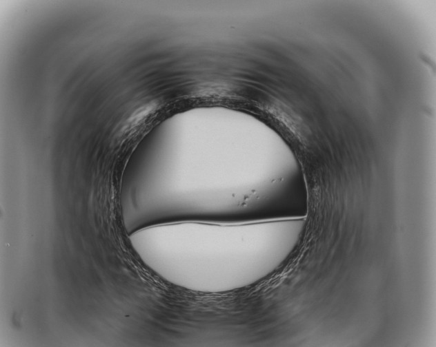 X0000097301111200802151115