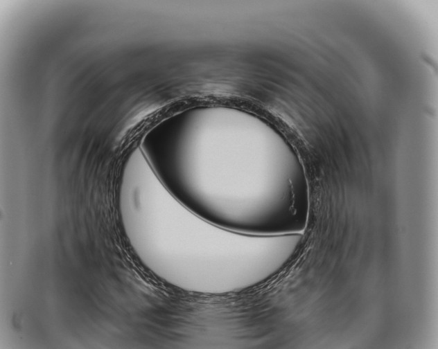 X0000097301112200802151116