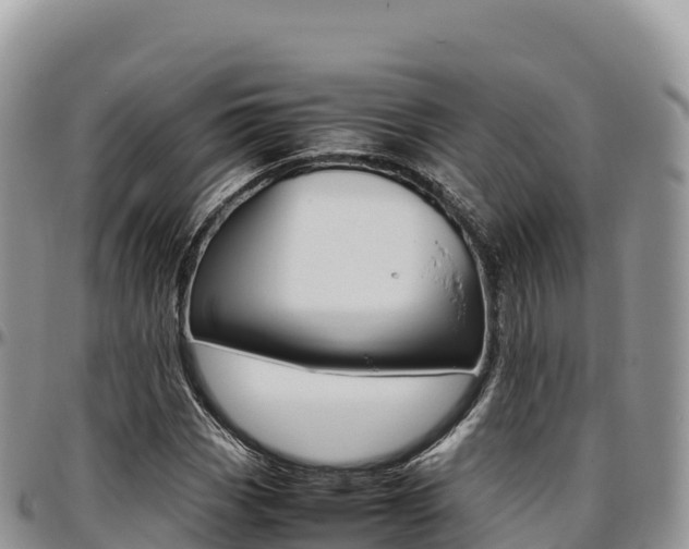 X0000097301113200802151116