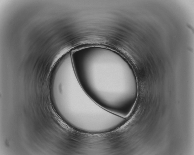 X0000097301114200802151116