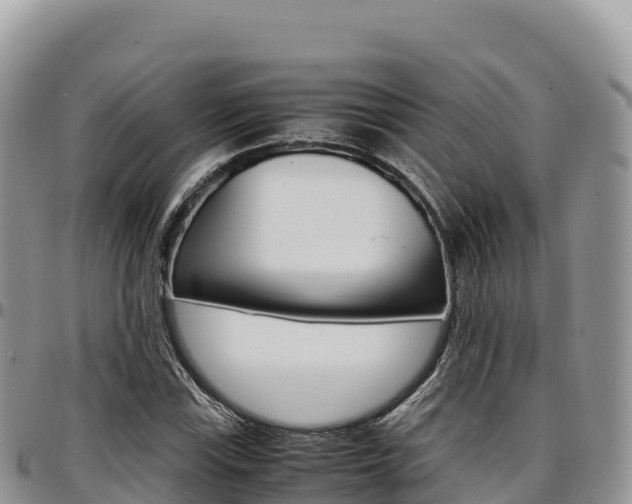 X0000097301115200802151116