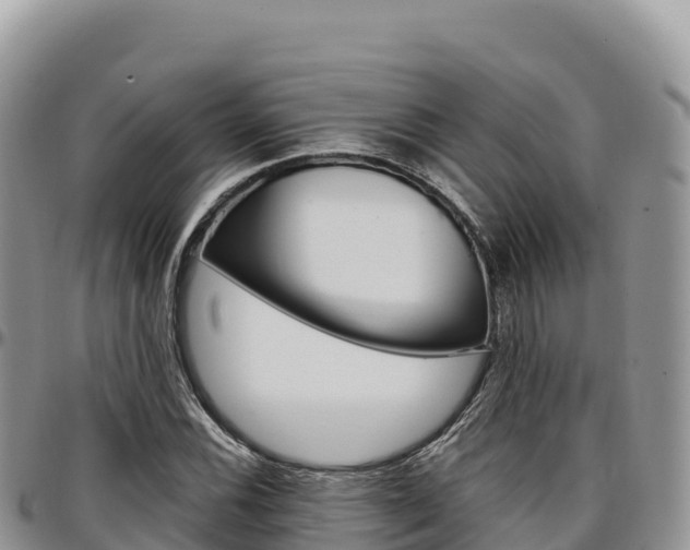 X0000097301116200802151116