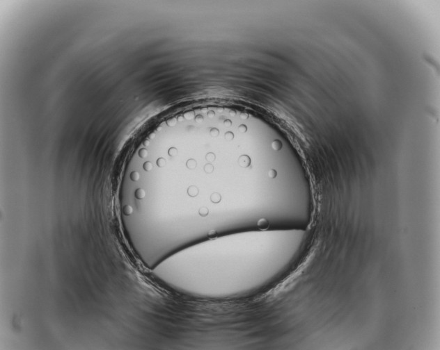 X0000097301117200802151116